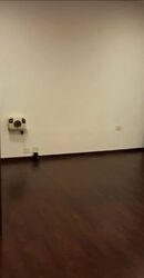 21 Richards (D19), Apartment #528296241
